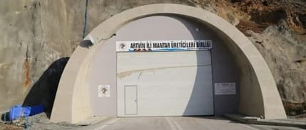 Atıl kalan 300 metrelik tünel istiridye mantarı üretim merkezi oldu