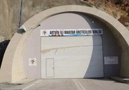 Atıl kalan 300 metrelik tünel istiridye mantarı üretim merkezi oldu
