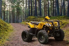 ATV ithalatına yeni gümrük düzenlemesi