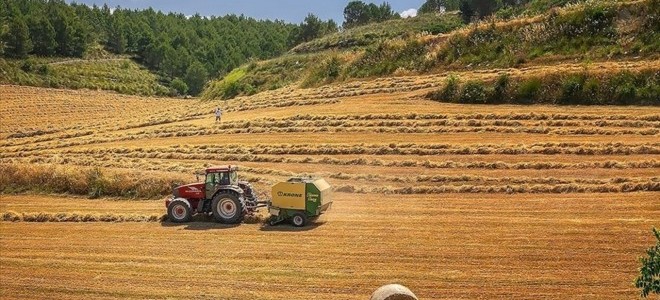 Avrupa Birliği, nadas kurallarına muafiyet getirdi