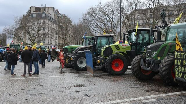 Avrupa Birliği'nden çiftçilere destek seferberliği
