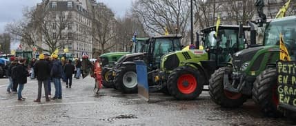 Avrupa Birliği'nden çiftçilere destek seferberliği