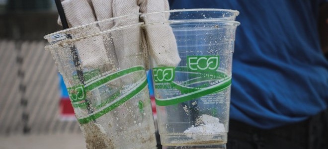 Avrupa Birliği, yeşil aklamayı yasaklamaya hazırlanıyor: Yeşil aklama nedir?