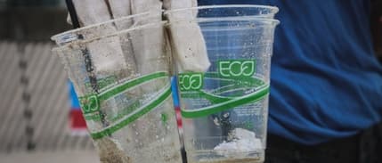 Avrupa Birliği, yeşil aklamayı yasaklamaya hazırlanıyor: Yeşil aklama nedir?