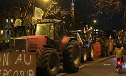 Avrupa Parlamentosu, MERCOSUR ticaret anlaşmasını yargıya taşıyor