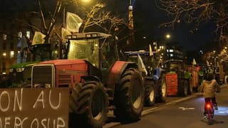 Avrupa Parlamentosu, MERCOSUR ticaret anlaşmasını yargıya taşıyor