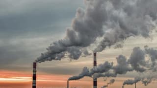 Avrupa Parlamentosu'ndan karbon reformuna destek