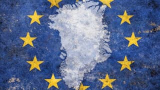 Avrupa Parlamentosu'ndan Trump'a Grönland resti