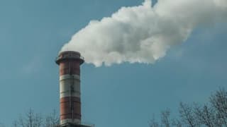 Avrupa, şirketlerin yüzde 90'ını karbon vergisinden muaf tutacak