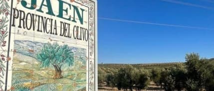 Avrupa'yı vuran kuraklık, zeytinyağı fiyatlarında rekor getirdi