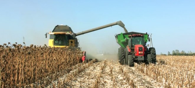 Ayçiçeğine En İyi Fiyat Konya Şeker'den!