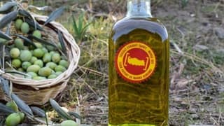 Aydın memecik zeytini Avrupa’da tescillendi