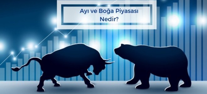 Ayı ve Boğa Piyasası Nedir?