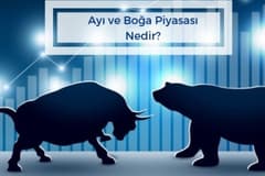 Ayı ve Boğa Piyasası Nedir?