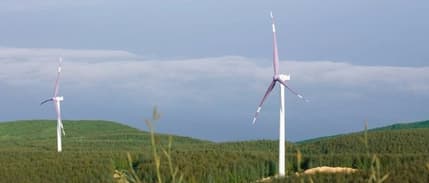 BAE'nin ilk yatırımından sonuç çıkmadı