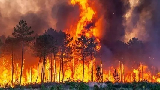 Bakan Çiftçi uyardı: Türkiye'de ormanların yüzde 65'i yangın riski altında