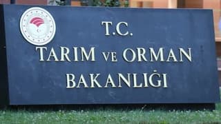 Bakan duyurdu: Şeker pancarı alım fiyatı haftaya açıklanacak