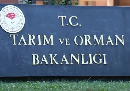 Bakan duyurdu: Şeker pancarı alım fiyatı haftaya açıklanacak