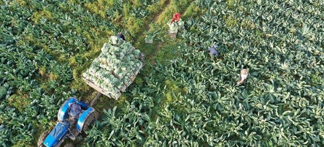 Bakan Kirişci: Tarımsal destek ödemelerini hesaplara aktarıyoruz