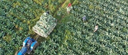 Bakan Kirişci: Tarımsal destek ödemelerini hesaplara aktarıyoruz