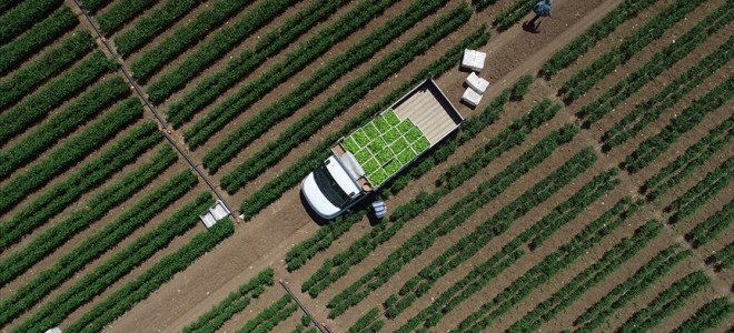 Bakan Kirişci: Çiftçilerin destek ödemeleri bugün yapılacak