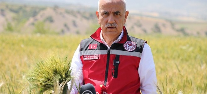 Bakan Kirişci, buğday rekolte beklentisini açıkladı
