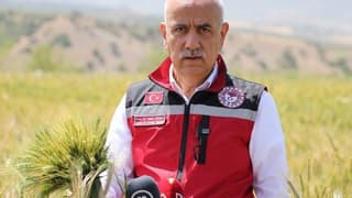 Bakan Kirişci, buğday rekolte beklentisini açıkladı