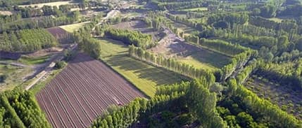 Bakan Kurum'dan 2B arazilerine yönelik açıklama