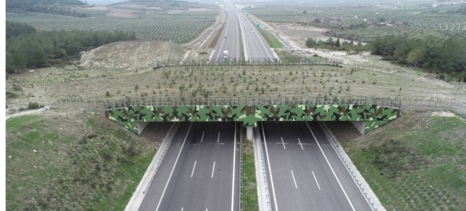 Bakan Uraloğlu: Ekolojik köprü sayısını artıracağız