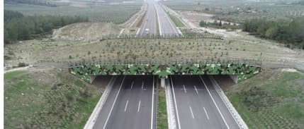 Bakan Uraloğlu: Ekolojik köprü sayısını artıracağız