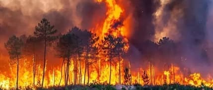 Bakan Yerlikaya duyurdu: İki kent afet bölgesi ilan edildi