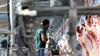 Bakan Yumaklı açıkladı: Kesimhanelerde yeni dönem başlıyor