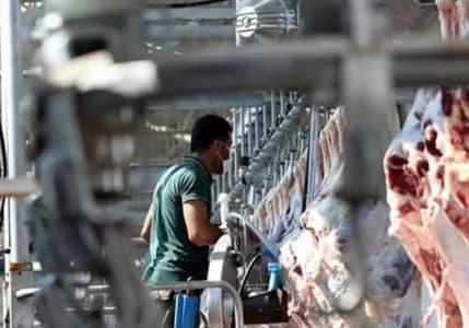 Bakan Yumaklı açıkladı: Kesimhanelerde yeni dönem başlıyor