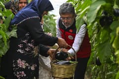 Bakan Yumaklı'dan kırmızı et ve tohum ithalatı iddialarına yanıt