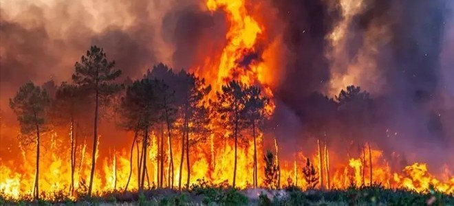 Bakan Yumaklı, orman yangınlarında son durumu açıkladı