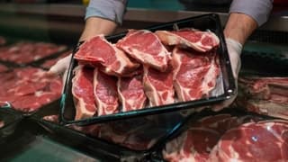 Bakanlık 8 ilde kırmızı et sektörünü mercek altına aldı
