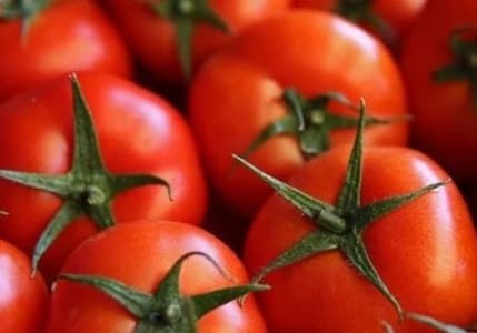 Bakanlık, domates ihracatına kısıtlama getirdi