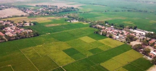 Bakanlık duyurdu: 44 ilde 670 arsa, açık artırma ile satılacak