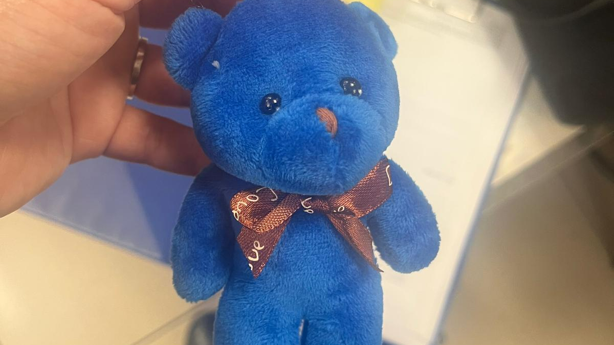 Bakanlık duyurdu: Bir peluş oyuncak hakkında toplatma kararı alındı