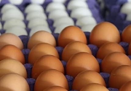 Bakanlıktan "ilaçlı yumurta" iddialarına yanıt