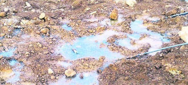 Balıkesir'deki iki altın madeni için ihale düzenlenecek