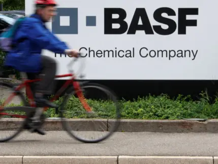 BASF tarım biriminin halka arzı için 4 bankayı yetkilendirdi