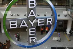 Bayer'in ikinci çeyrek kârı beklentileri aştı