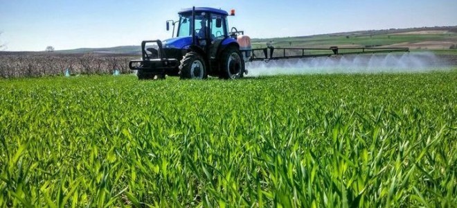 Bayraktar: Lahanada Üretici ile Market Arasındaki Fark Yüzde 559,3