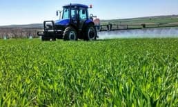 Bayraktar: Lahanada Üretici ile Market Arasındaki Fark Yüzde 559,3