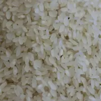 Bazı pirinç ve çeltik ürünlerinin ithalatına gözetim kararı