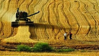 Bazı tarım ürünlerinde sıfır gümrük vergisi uygulaması kaldırıldı 