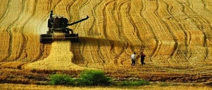 Bazı tarım ürünlerinde sıfır gümrük vergisi uygulaması kaldırıldı 