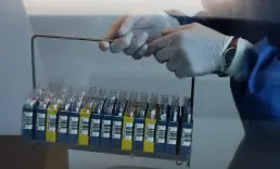 Belçika'da Batı Nil virüsü vakası sayısı artıyor