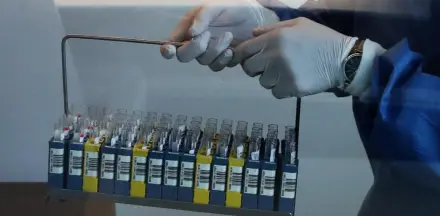 Belçika'da Batı Nil virüsü vakası sayısı artıyor